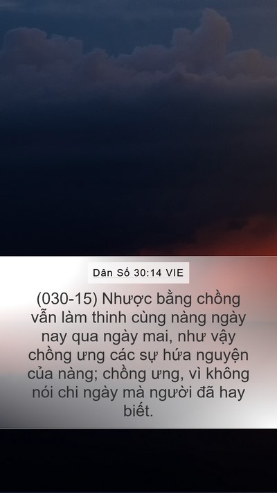Dân Số 30:14 VIE Mobile Phone Wallpaper - (030-15) Nhược bằng chồng vẫn làm thinh - Mobile Bible Verse Wallpaper