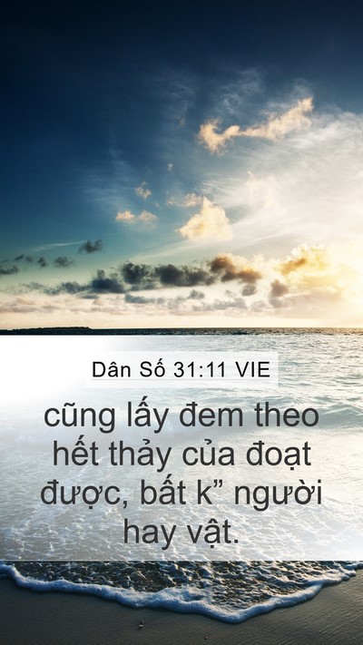 Dân Số 31:11 VIE Mobile Phone Wallpaper - cũng lấy đem theo hết thảy của đoạt - Mobile Bible Verse Wallpaper