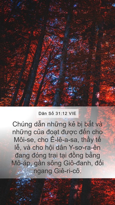 Dân Số 31:12 VIE Bible Verse Image