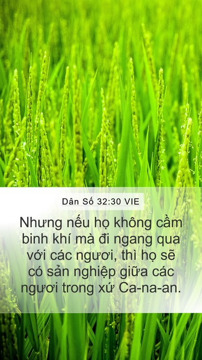 Dân Số 32:30 VIE Bible Verse Image