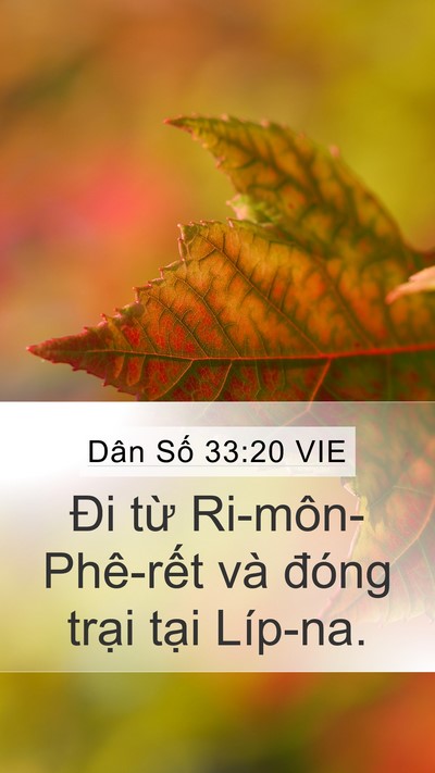 Dân Số 33:20 VIE Bible Verse Image