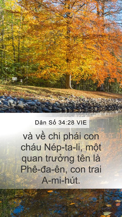 Dân Số 34:28 VIE Mobile Phone Wallpaper - và về chi phái con cháu Nép-ta-li, một - Mobile Bible Verse Wallpaper