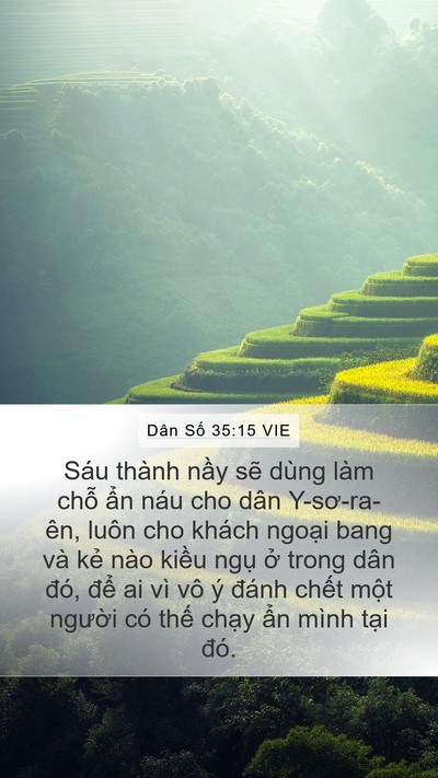 Dân Số 35:15 VIE Bible Verse Image