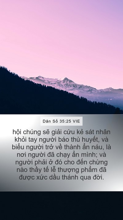 Dân Số 35:25 VIE Bible Verse Image