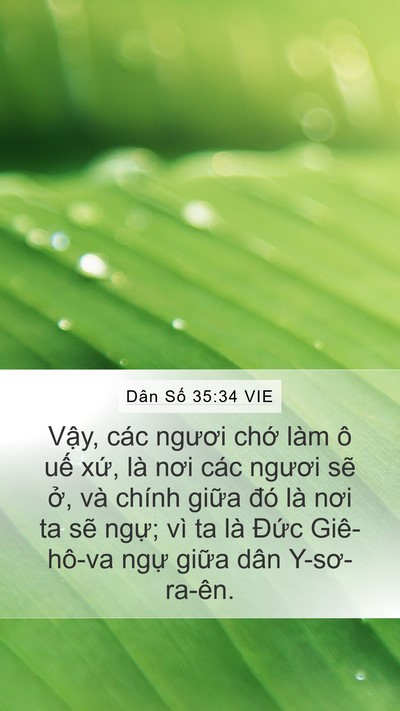 Dân Số 35:34 VIE Mobile Phone Wallpaper - Vậy, các ngươi chớ làm ô uế xứ, là - Mobile Bible Verse Wallpaper