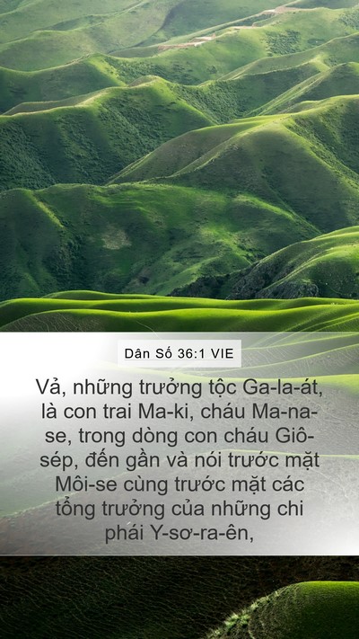 Dân Số 36:1 VIE Bible Verse Image