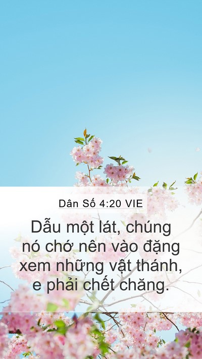 Dân Số 4:20 VIE Mobile Phone Wallpaper - Dẫu một lát, chúng nó chớ nên vào - Mobile Bible Verse Wallpaper