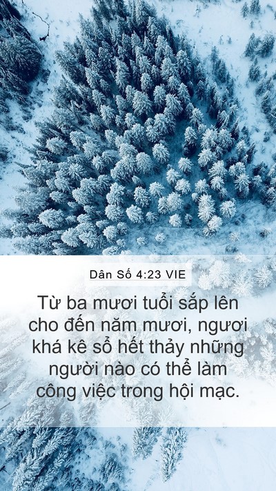 Dân Số 4:23 VIE Bible Verse Image