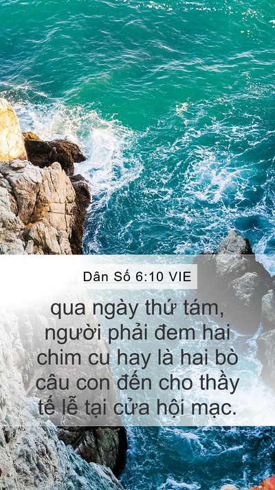 Dân Số 6:10 VIE Mobile Phone Wallpaper - qua ngày thứ tám, người phải đem hai - Mobile Bible Verse Wallpaper