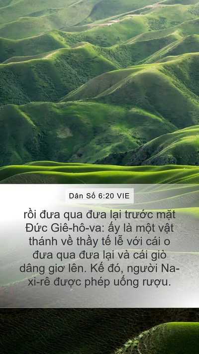 Dân Số 6:20 VIE Bible Verse Image