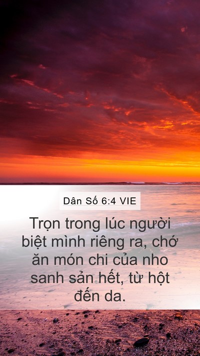 Dân Số 6:4 VIE Mobile Phone Wallpaper - Trọn trong lúc người biệt mình riêng - Mobile Bible Verse Wallpaper
