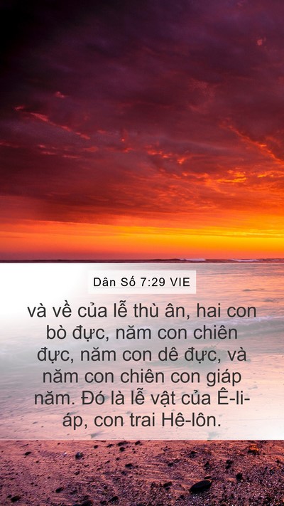 Dân Số 7:29 VIE Bible Verse Image