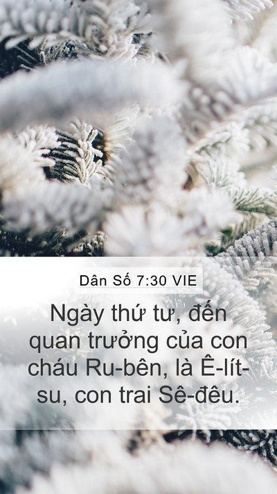 Dân Số 7:30 VIE Bible Verse Image
