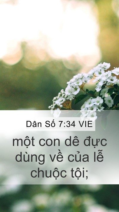 Dân Số 7:34 VIE Mobile Phone Wallpaper - một con dê đực dùng về của lễ - Mobile Bible Verse Wallpaper