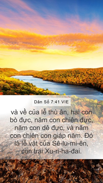 Dân Số 7:41 VIE Mobile Phone Wallpaper - và về của lễ thù ân, hai con bò đực, - Mobile Bible Verse Wallpaper