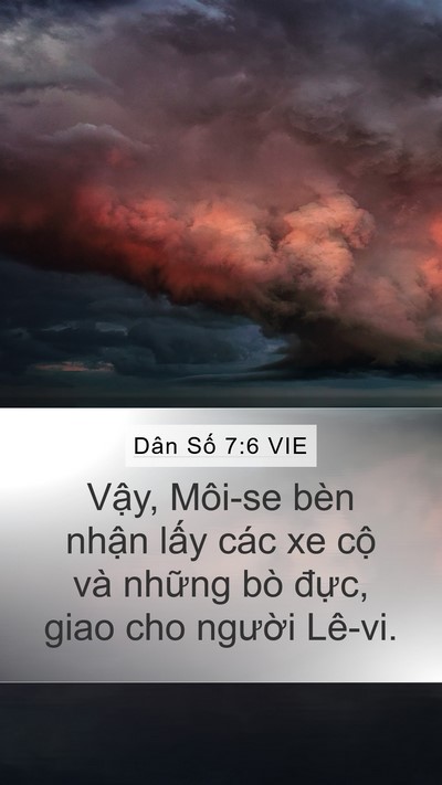 Dân Số 7:6 VIE Mobile Phone Wallpaper - Vậy, Môi-se bèn nhận lấy các xe cộ và - Mobile Bible Verse Wallpaper