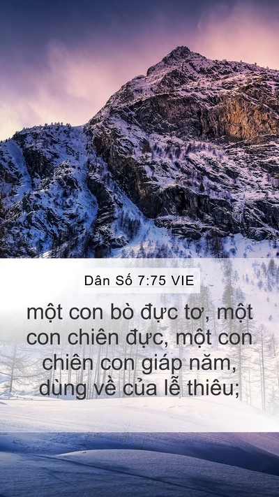 Dân Số 7:75 VIE Mobile Phone Wallpaper - một con bò đực tơ, một con chiên - Mobile Bible Verse Wallpaper