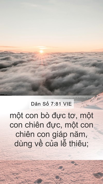 Dân Số 7:81 VIE Mobile Phone Wallpaper - một con bò đực tơ, một con chiên - Mobile Bible Verse Wallpaper