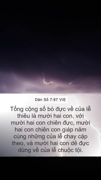 Dân Số 7:87 VIE Mobile Phone Wallpaper - Tổng cộng số bò đực về của lễ - Mobile Bible Verse Wallpaper