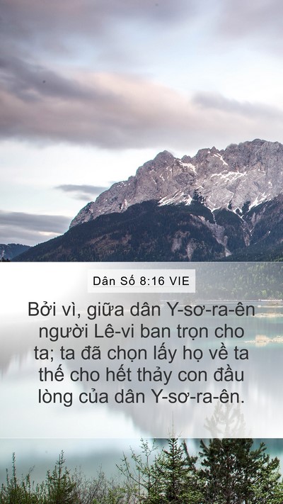 Dân Số 8:16 VIE Bible Verse Image