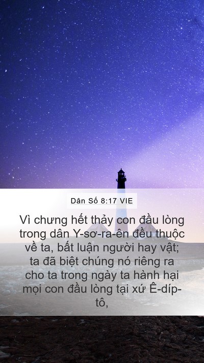 Dân Số 8:17 VIE Mobile Phone Wallpaper - Vì chưng hết thảy con đầu lòng trong - Mobile Bible Verse Wallpaper