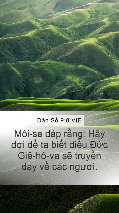 Dân Số 9:8 VIE Mobile Phone Wallpaper - Môi-se đáp rằng: Hãy đợi để ta biết - Mobile Bible Verse Wallpaper