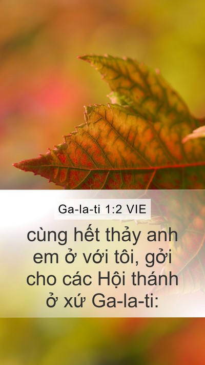 Ga-la-ti 1:2 VIE Mobile Phone Wallpaper - cùng hết thảy anh em ở với tôi, gởi - Mobile Bible Verse Wallpaper