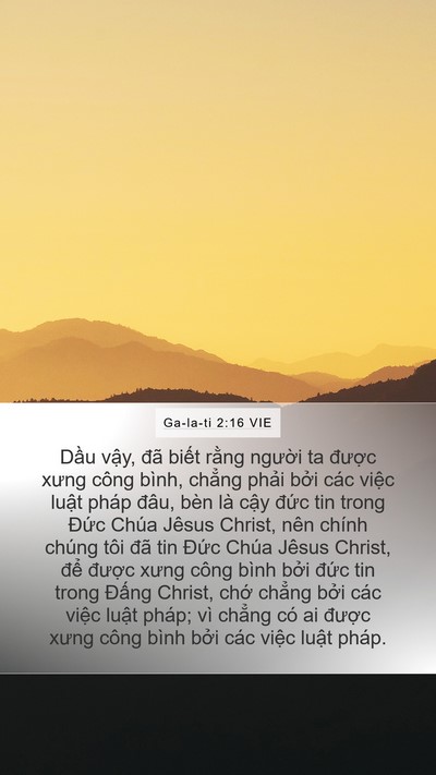 Ga-la-ti 2:16 VIE Bible Verse Image