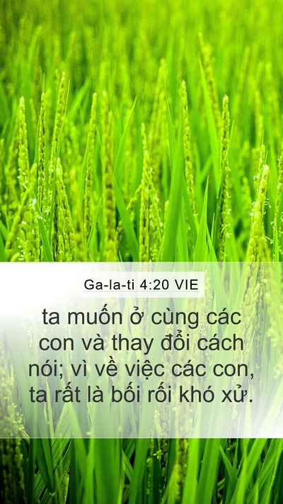 Ga-la-ti 4:20 VIE Bible Verse Image