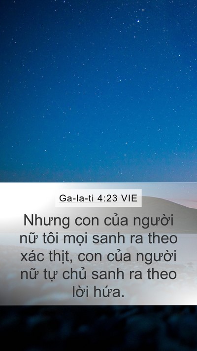 Ga-la-ti 4:23 VIE Bible Verse Image