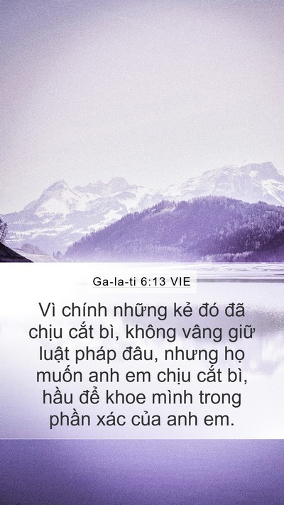 Ga-la-ti 6:13 VIE Bible Verse Image