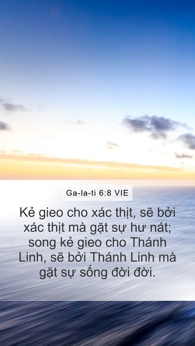 Ga-la-ti 6:8 VIE Bible Verse Image