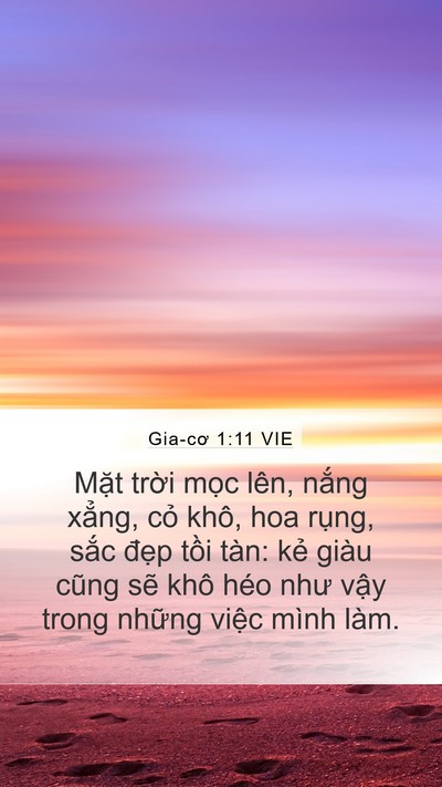 Gia-cơ 1:11 VIE Mobile Phone Wallpaper - Mặt trời mọc lên, nắng xẳng, cỏ - Mobile Bible Verse Wallpaper