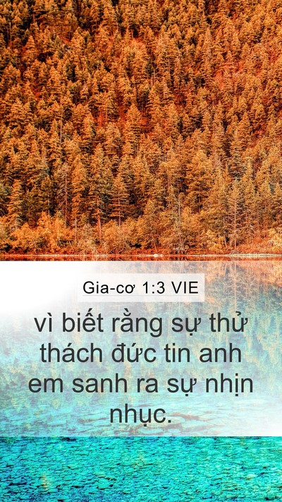 Gia-cơ 1:3 VIE Bible Verse Image