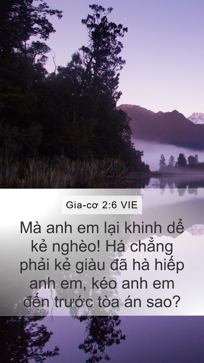 Gia-cơ 2:6 VIE Bible Verse Image