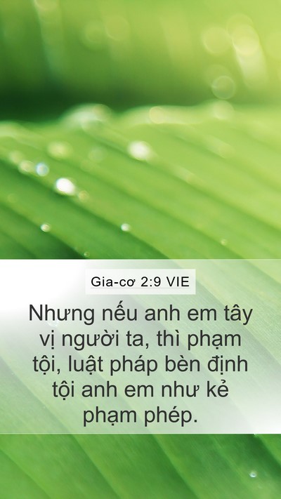 Gia-cơ 2:9 VIE Bible Verse Image