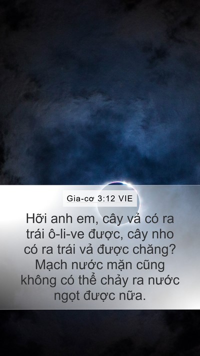Gia-cơ 3:12 VIE Bible Verse Image