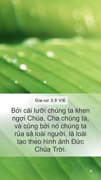 Gia-cơ 3:9 VIE Bible Verse Image