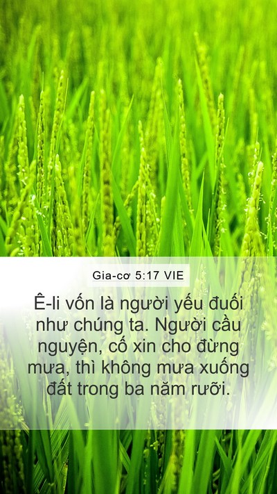 Gia-cơ 5:17 VIE Bible Verse Image