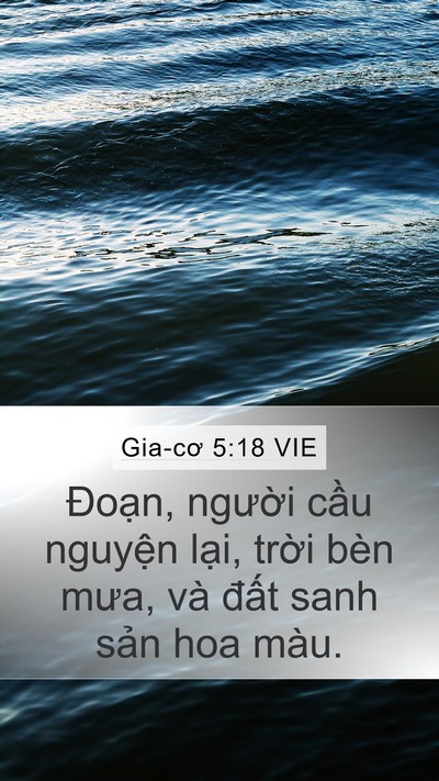 Gia-cơ 5:18 VIE Mobile Phone Wallpaper - Đoạn, người cầu nguyện lại, trời - Mobile Bible Verse Wallpaper