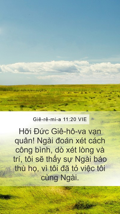 Giê-rê-mi-a 11:20 VIE Bible Verse Image