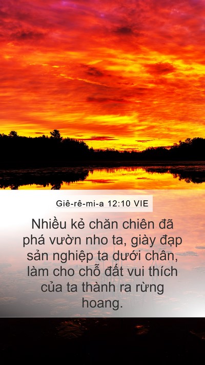 Giê-rê-mi-a 12:10 VIE Bible Verse Image