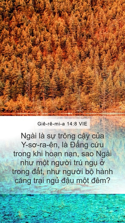 Giê-rê-mi-a 14:8 VIE Bible Verse Image