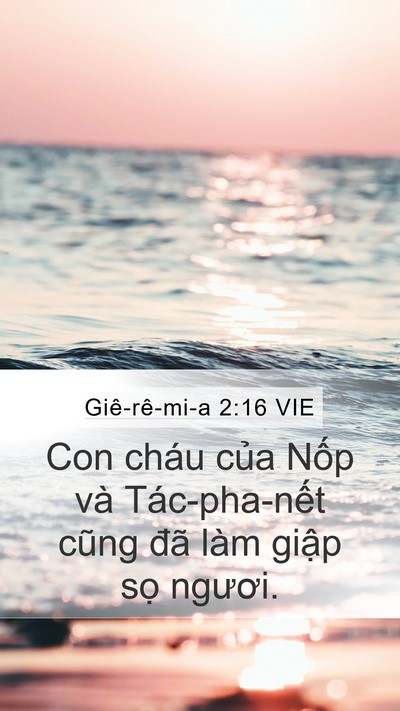 Giê-rê-mi-a 2:16 VIE Mobile Phone Wallpaper - Con cháu của Nốp và Tác-pha-nết cũng - Mobile Bible Verse Wallpaper