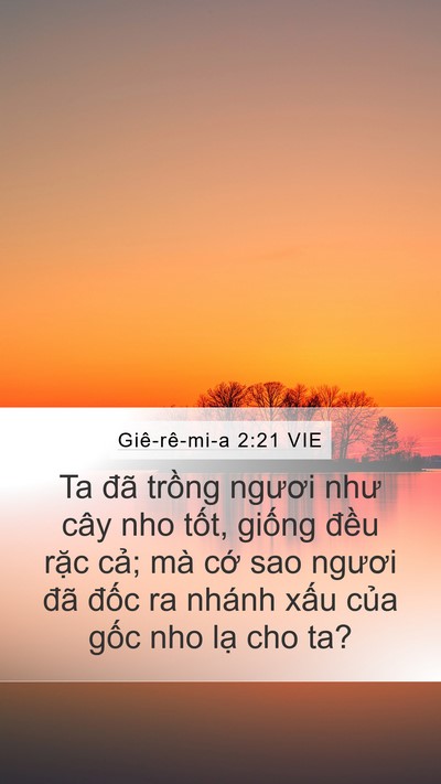 Giê-rê-mi-a 2:21 VIE Mobile Phone Wallpaper - Ta đã trồng ngươi như cây nho tốt, - Mobile Bible Verse Wallpaper