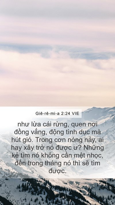 Giê-rê-mi-a 2:24 VIE Bible Verse Image