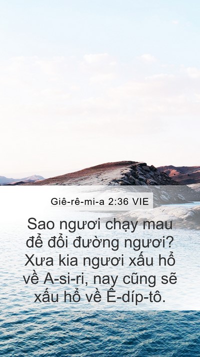 Giê-rê-mi-a 2:36 VIE Bible Verse Image
