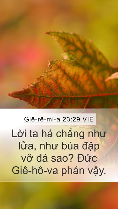 Giê-rê-mi-a 23:29 VIE Bible Verse Image