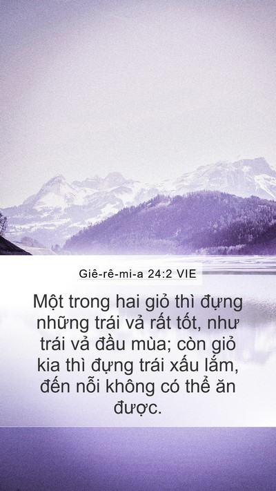 Giê-rê-mi-a 24:2 VIE Bible Verse Image