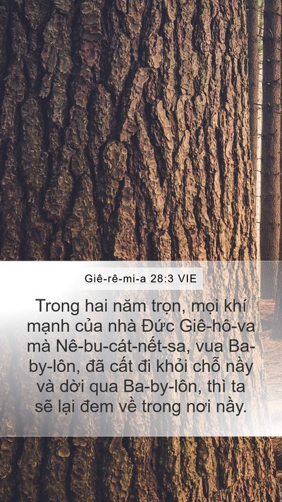 Giê-rê-mi-a 28:3 VIE Bible Verse Image